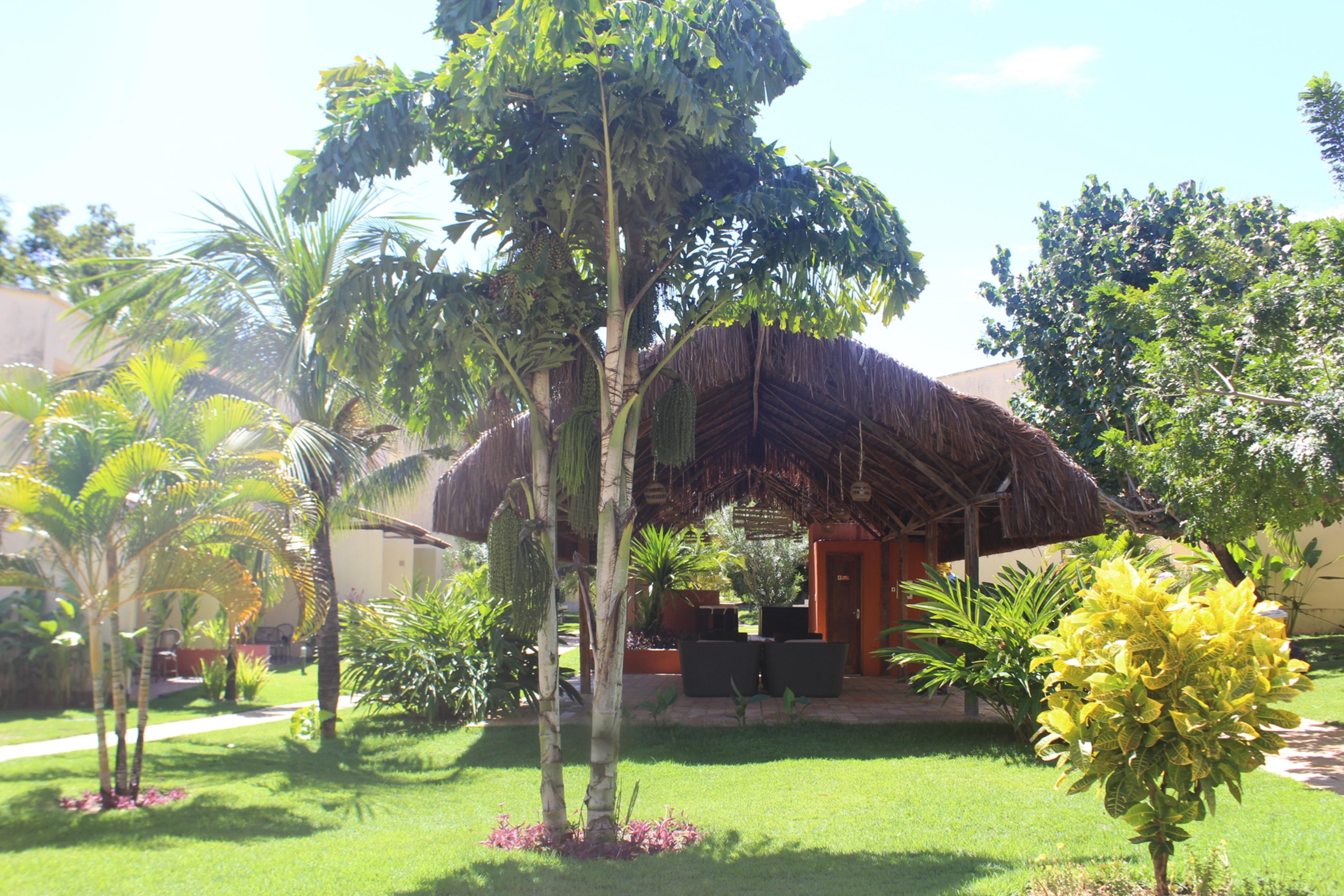 Hotel Pipa Atlantico Praia de Pipa Екстериор снимка