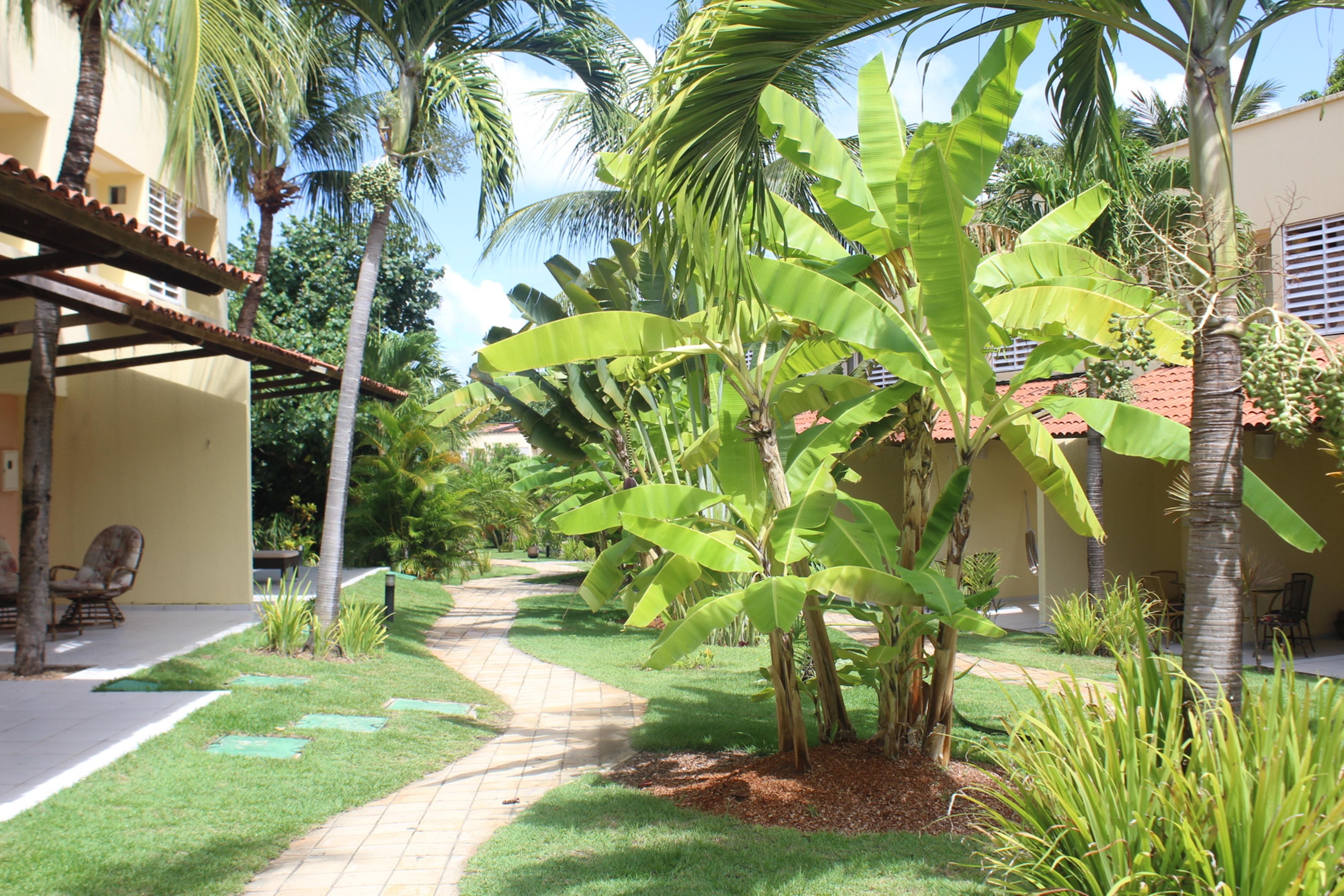 Hotel Pipa Atlantico Praia de Pipa Екстериор снимка